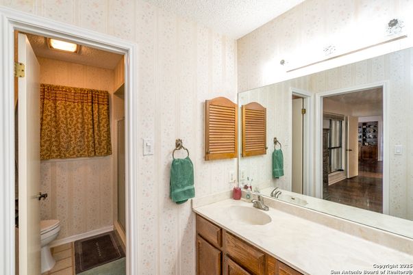 Bathroom, Interior, Wood Texture Flooring