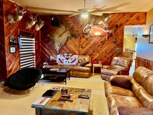 Interior, Living room, Wooden Walls