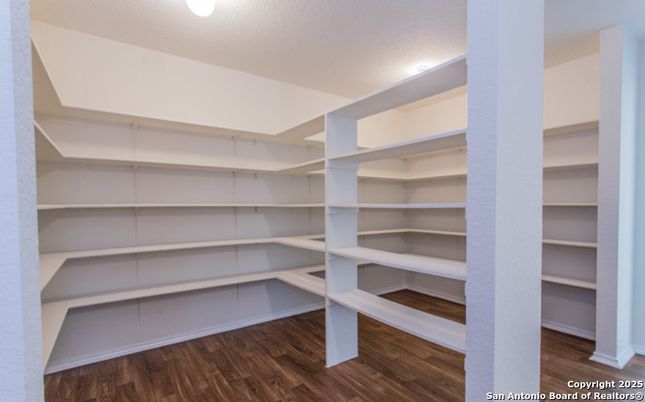 Interior, Recessed Lighting, Walk-in Closets, Wood Texture Flooring