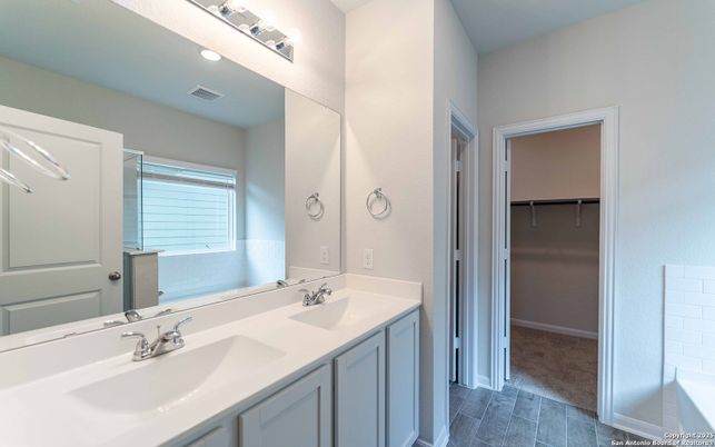 Bathroom, Dual Sink Vanities, Interior, Wood Texture Flooring