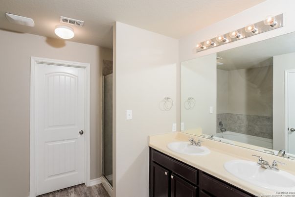 Bathroom, Dual Sink Vanities, Interior, Wood Texture Flooring