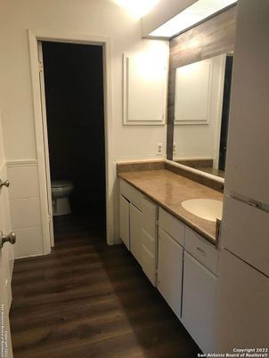 Bathroom, Dual Sink Vanities, Interior, Wood Texture Flooring