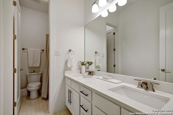 Bathroom, Dual Sink Vanities, Interior, Wood Texture Flooring