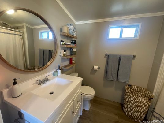 Bathroom, Interior, Wood Texture Flooring