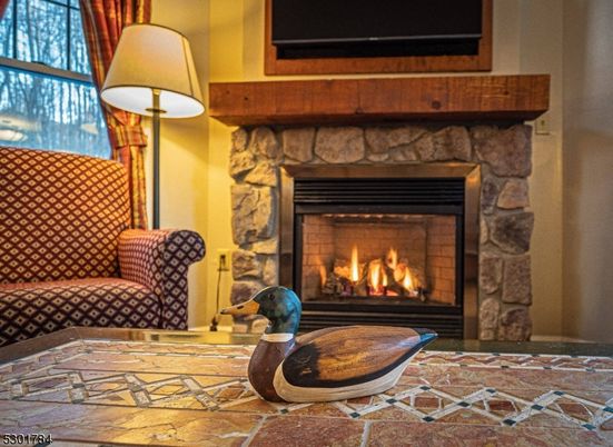 Fireplace, Interior