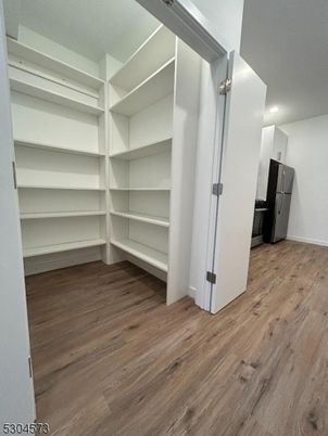 Interior, Recessed Lighting, Walk-in Closets, Wood Texture Flooring