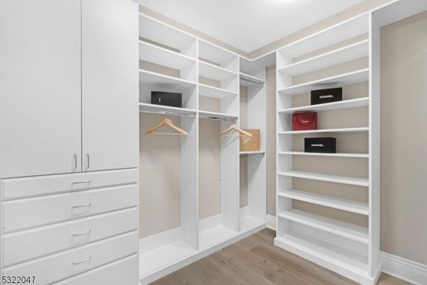 Interior, Walk-in Closets, Wood Texture Flooring