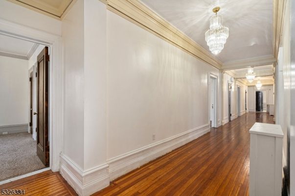 Chandelier, Interior, Wood Texture Flooring