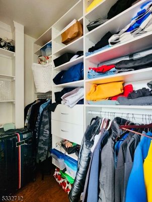 Interior, Walk-in Closets, Wood Texture Flooring