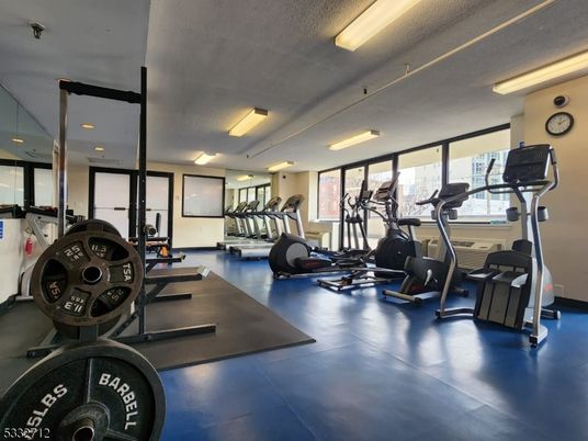 Fitness Equipment, Gym, Interior, Recessed Lighting
