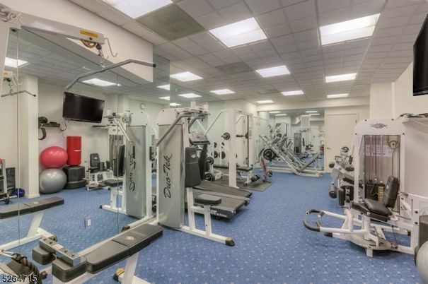 Fitness Equipment, Gym, Interior, Recessed Lighting