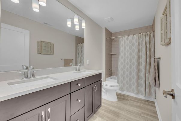 Bathroom, Dual Sink Vanities, Interior, Wood Texture Flooring