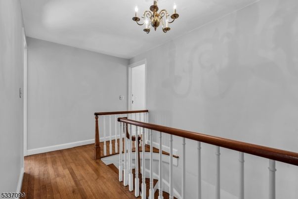Chandelier, Interior, Wood Texture Flooring