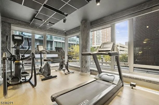 Fitness Equipment, Gym, Interior, Recessed Lighting, Wood Texture Flooring