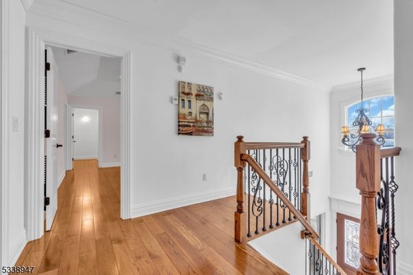 Chandelier, Interior, Wood Texture Flooring