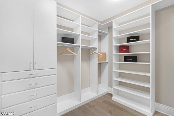 Interior, Walk-in Closets, Wood Texture Flooring