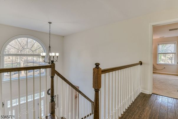 Chandelier, Interior, Wood Texture Flooring