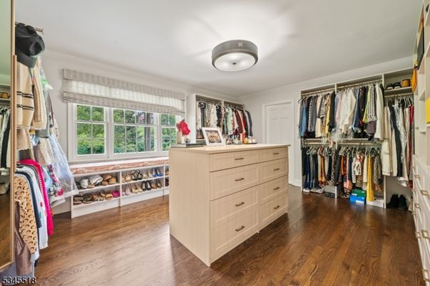 Interior, Walk-in Closets, Wood Texture Flooring