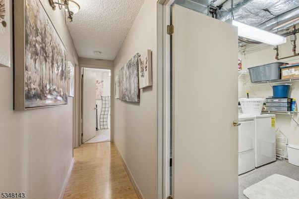 Interior, Washer, Wood Texture Flooring