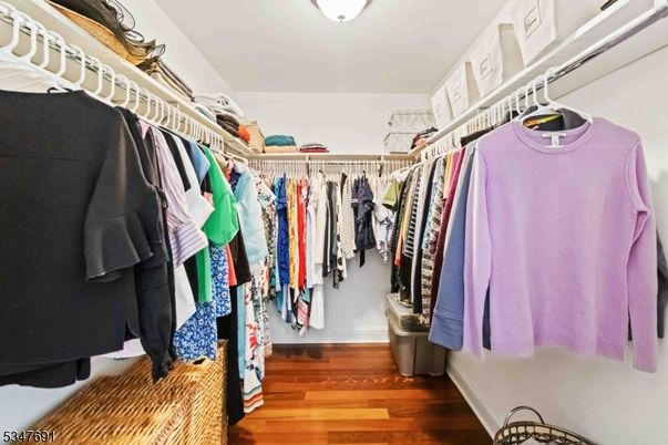 Interior, Walk-in Closets, Wood Texture Flooring