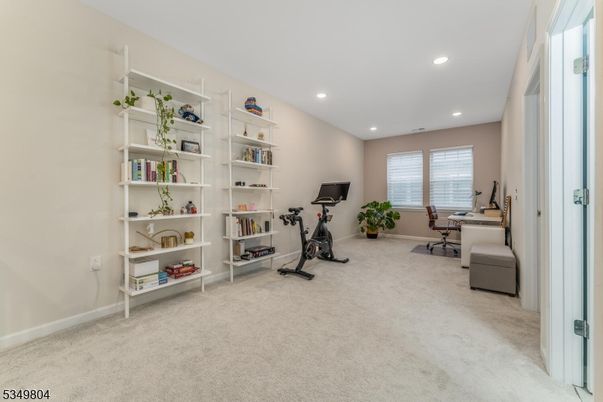 Fitness Equipment, Home Office, Interior, Recessed Lighting