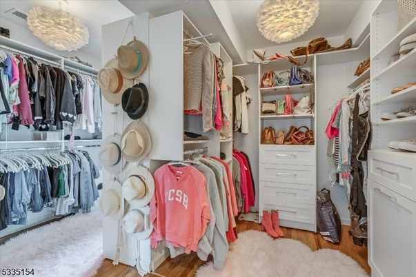 Interior, Pendant Lights, Walk-in Closets, Wood Texture Flooring