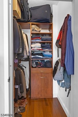 Interior, Walk-in Closets, Wood Texture Flooring