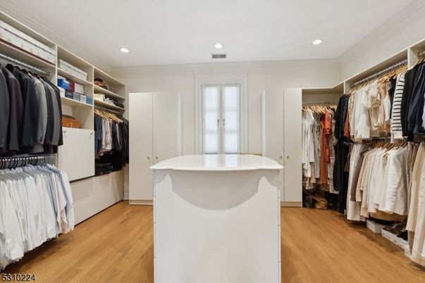Interior, Recessed Lighting, Walk-in Closets, Wood Texture Flooring