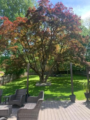 Backyard, Exterior