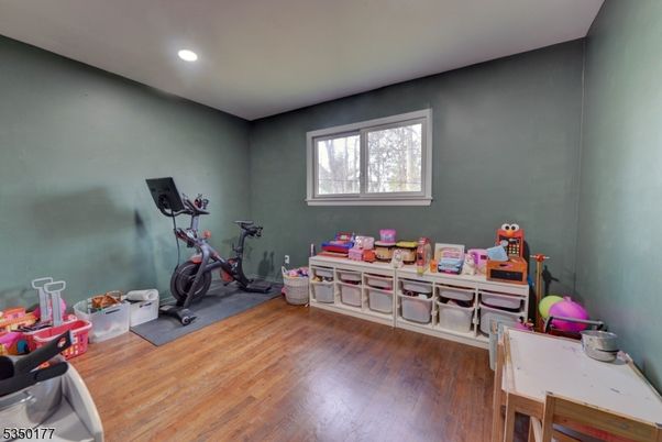 Fitness Equipment, Interior, Recessed Lighting, Wood Texture Flooring