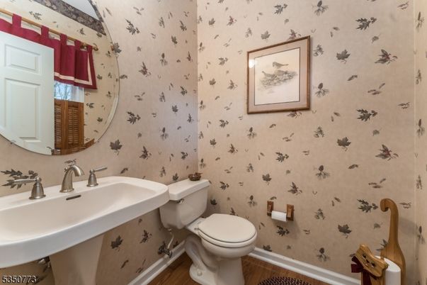 Bathroom, Interior, Wood Texture Flooring