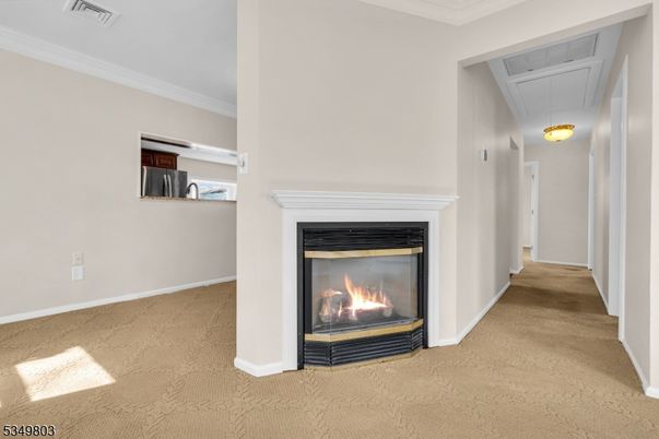 Fireplace, Interior