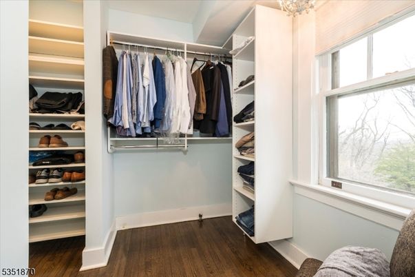 Interior, Walk-in Closets, Wood Texture Flooring