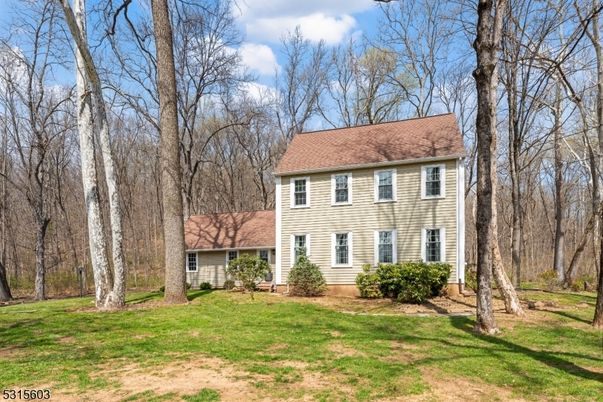 Backyard, Exterior, Facade, Georgian