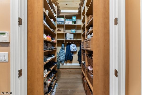 Interior, Walk-in Closets, Wooden Ceilings, Wood Texture Flooring
