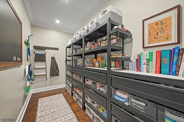 Interior, Recessed Lighting, Walk-in Closets, Wood Texture Flooring