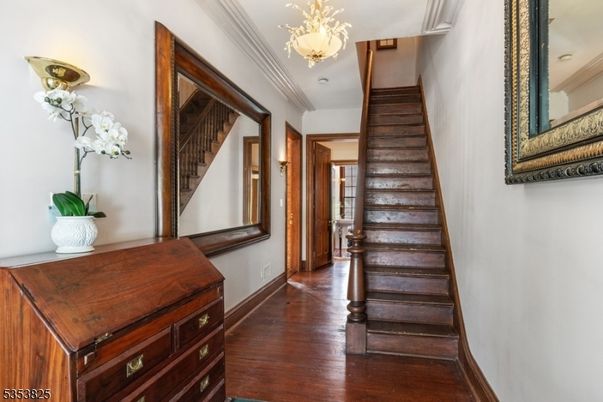 Chandelier, Interior, Wood Texture Flooring
