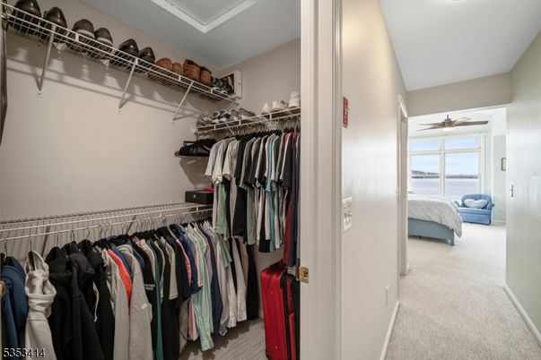 Interior, Walk-in Closets, Water