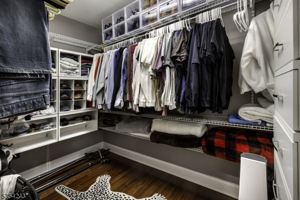 Interior, Walk-in Closets, Wood Texture Flooring