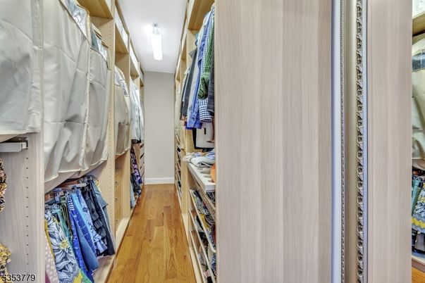 Interior, Walk-in Closets, Wood Texture Flooring