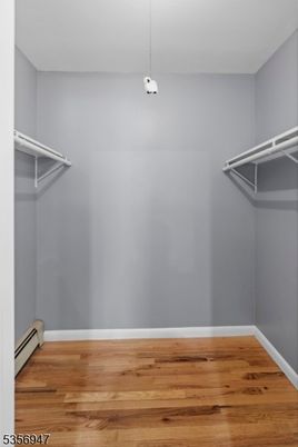 Interior, Pendant Lights, Walk-in Closets, Wood Texture Flooring