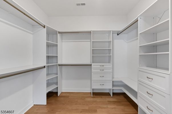 Interior, Walk-in Closets, Wood Texture Flooring