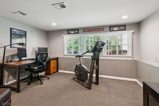 Fitness Equipment, Home Office, Interior, Recessed Lighting