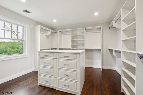 Interior, Recessed Lighting, Walk-in Closets, Wood Texture Flooring