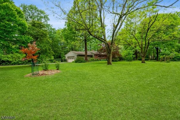 Backyard, Detached Garage, Exterior