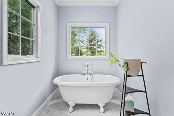 Bathroom, Free Standing Baths, Interior, Marble