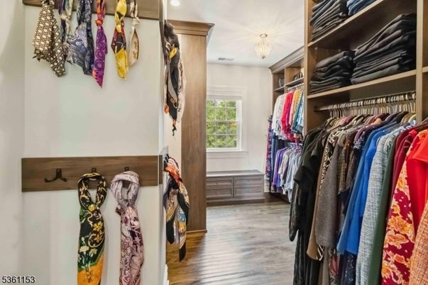 Interior, Walk-in Closets, Wood Texture Flooring