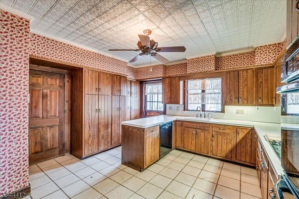 Interior, Kitchen