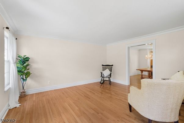 Chandelier, Interior, Wood Texture Flooring