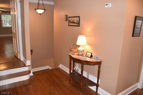 Interior, Pendant Lights, Wood Texture Flooring
